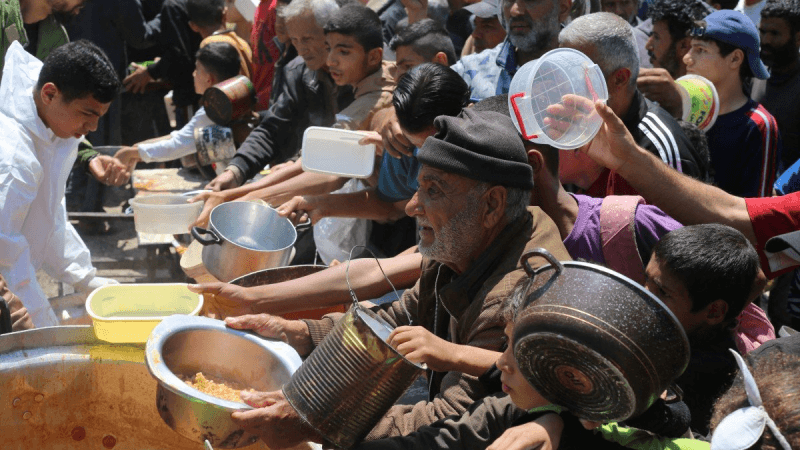 L'ONU déclare la famine à Gaza