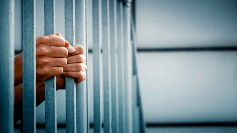 ثلاثة أشهر سجنا في حقّ المعتدي على كلب بـ 'بالة'
