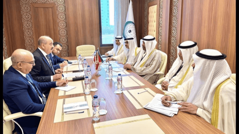 Nafti tient des rencontres avec ses homologues arabes