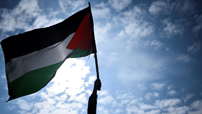 الدنمارك: نُؤيّد الاعتراف بدولة فلسطين