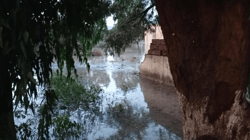 القصرين: تسرّب مياه للمنازل وأضرار من جراء الأمطار الغزيرة