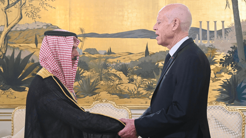 رئيس الجمهورية يستقبل وزير الخارجية السعودي ويُجدّد دعم تونس لفلسطين