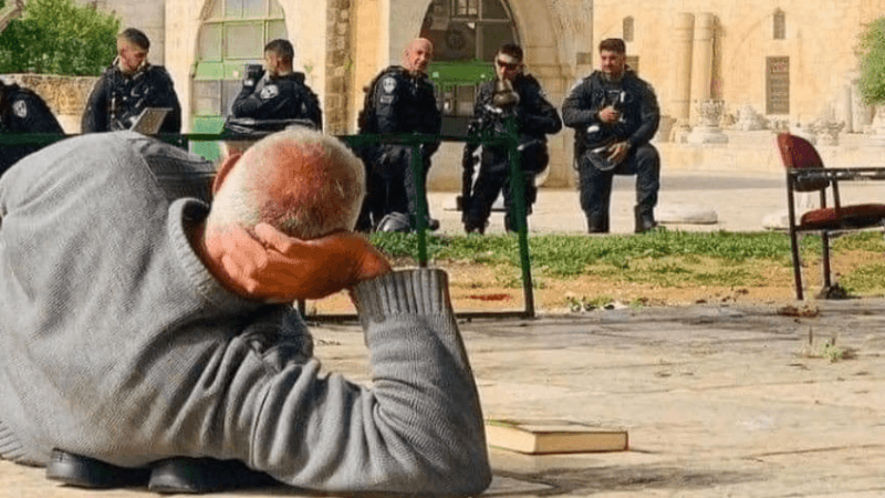 ثابتون في أرضهم.. يختارون الاستشهاد في أرضهم على الحياة في التشرد