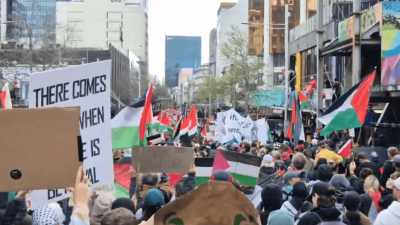 آلاف في مسيرة مؤيّدة لفلسطين وسط أكبر مدن نيوزيلندا