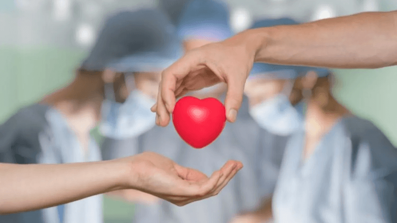 أربع عمليات زرع أعضاء ناجحة تُنقذ أربعة مرضى