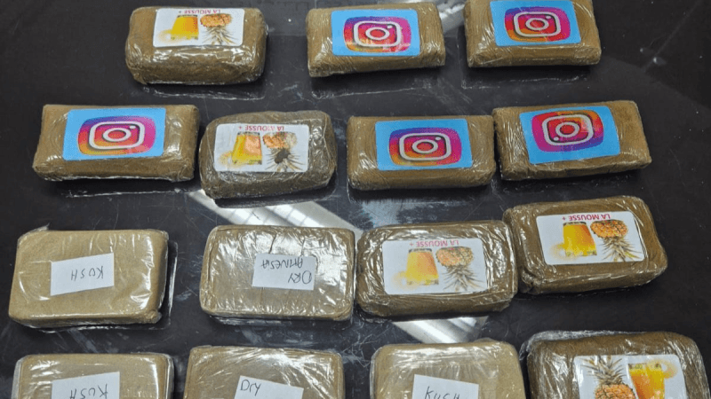 ميناء حلق الوادي: ضبط 15 صفيحة 'زطلة' بحوزة مسافر قادم من روما
