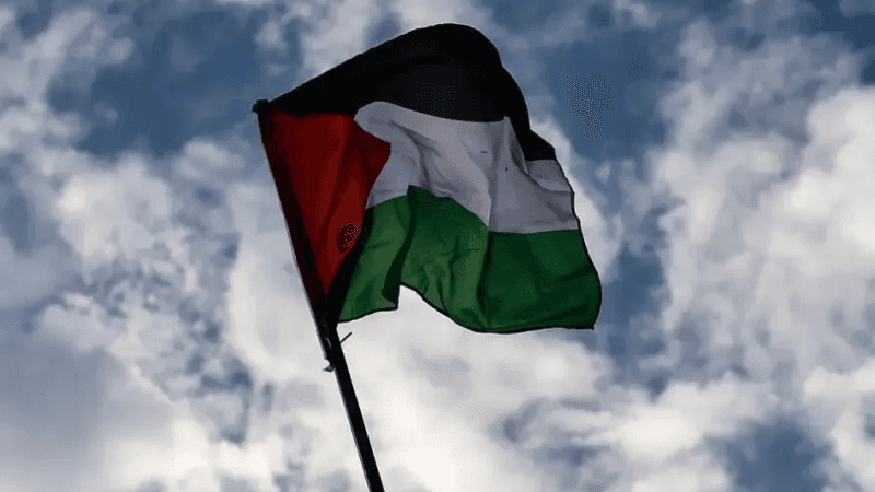 اسكتلندا: يجب وقف بيع الأسلحة لإسرائيل وفرض عقوبات دعما لفلسطين