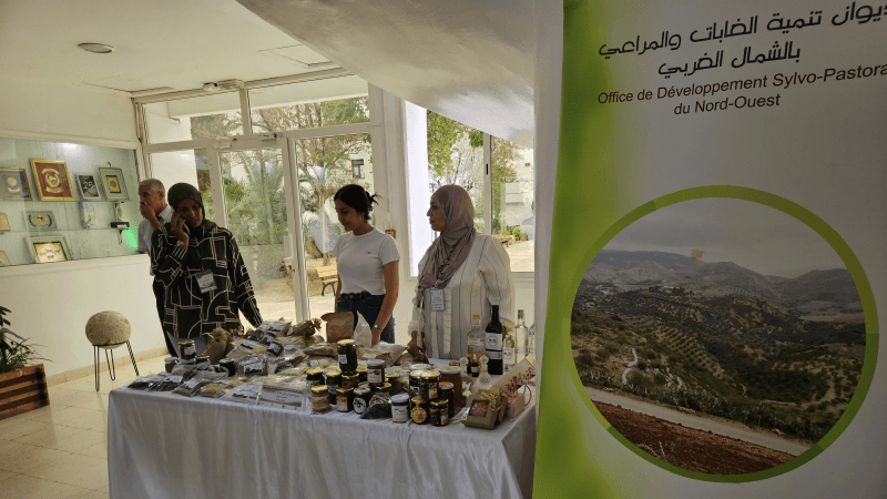 انطلاق مشروع مدمج لتنمية الفلاحة الجبلية بالشمال الغربي