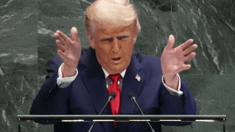 Trump : l’Europe va en enfer à cause de l'immigration