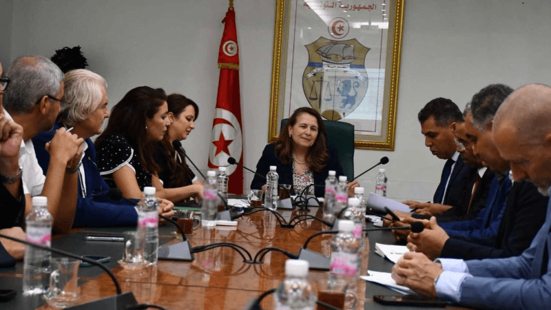 مكونات الطائرات..وزيرة الصناعة تؤكد على البعد الإستراتيجي للقطاع