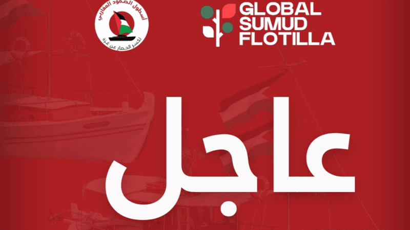 القوات الإسرائيلية تعتقل نشطاء سفينتي ألما وسيروس