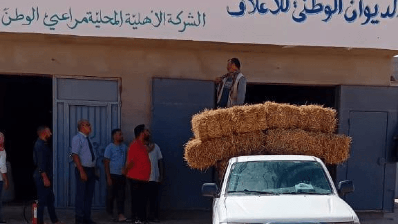 تطاوين: انطلاق نشاط أول شركة أهلية برمادة