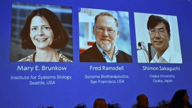 Nobel médecine : trois chercheurs derrière une percée immunitaire