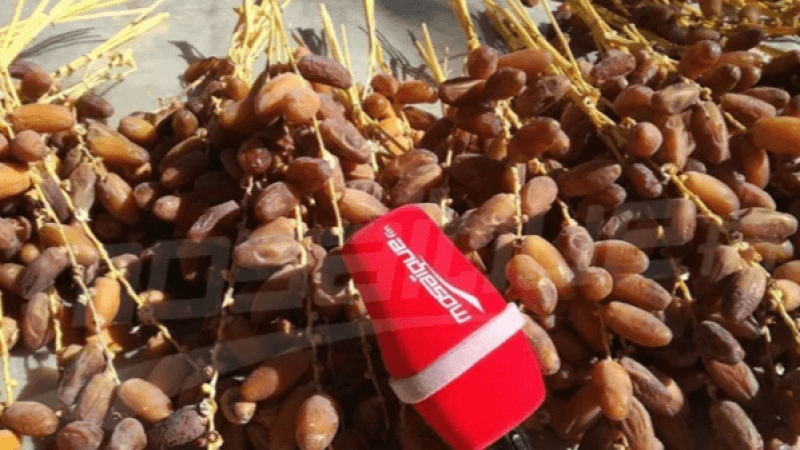 قبلي: تسجيل ارتفاع في تقديرات صابة التمور لهذا الموسم