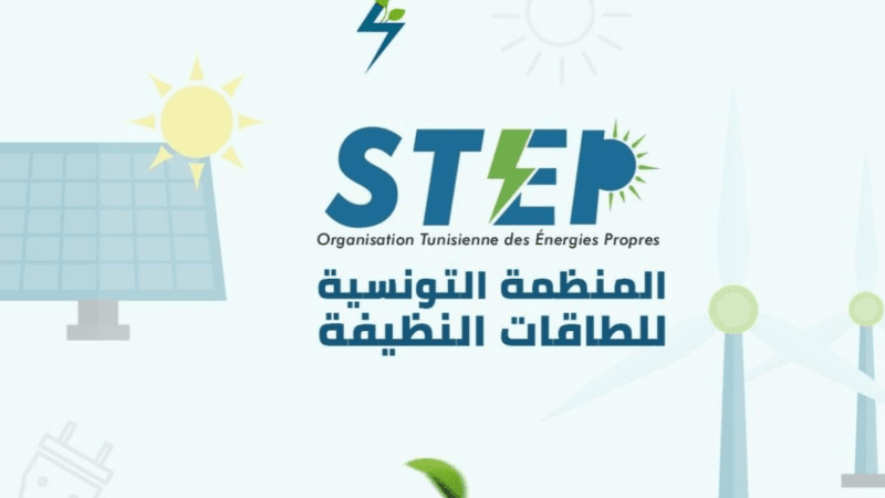 استراتيجيات الطاقة في تونس وشبكة الطاقات المتجددة مع 2027 أي وضعية؟