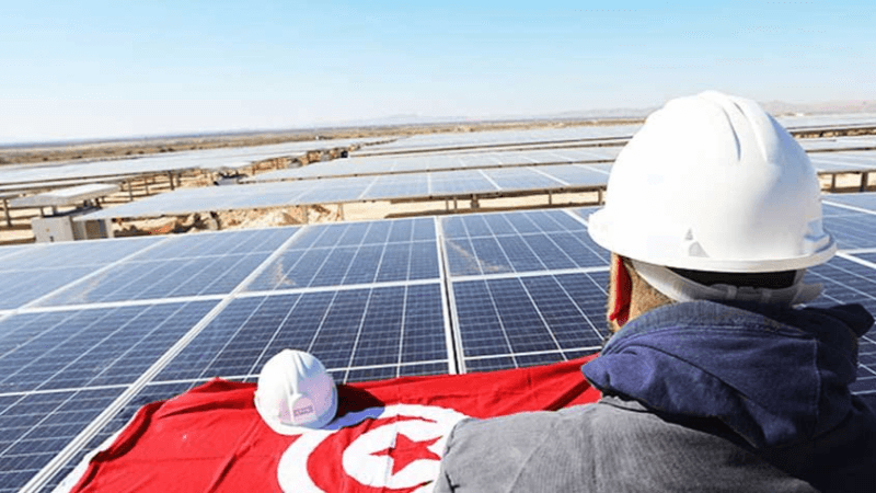 منظمة الطاقات النظيفة: مقترحات لجعل الانتقال الطاقي قاطرة للاقتصاد