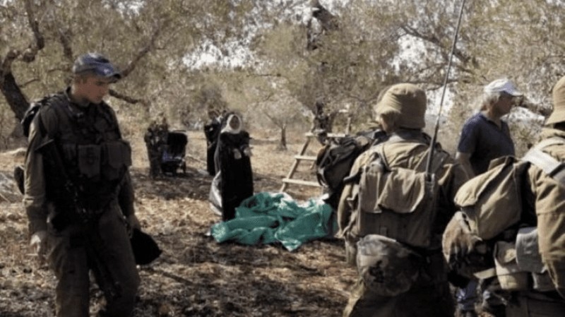شهداء في حي الشجاعية.. واعتقالات في رفح وخان يونس