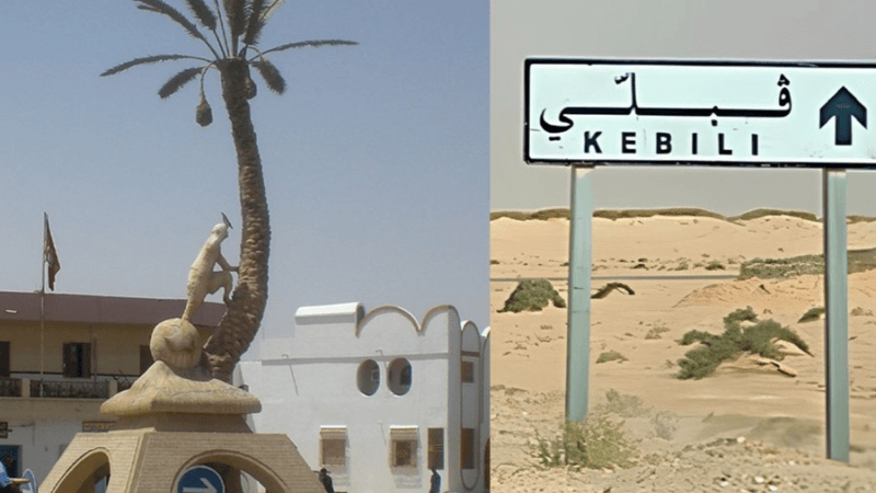 قبلي: وقفة احتجاجية للمطالبة بالتشغيل