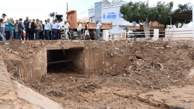 نصرالله: الأمطار تكشف هشاشة البنية التحتية والسلط الجهوية تتدخل..