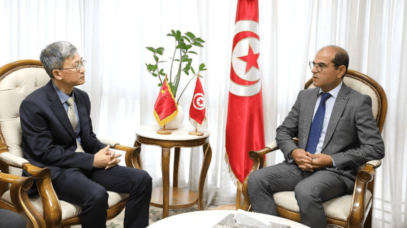 وزير التجهيز يتباحث مع سفير الصين تأهيل وحدات المجمّع الكيميائي بقابس