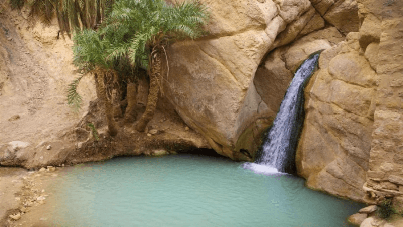 Des hôtels à Tamaghza, Nefta et Tozeur rouvrent leurs portes