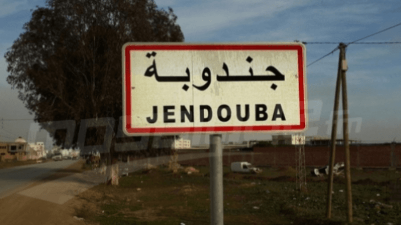 جندوبة: مشروع في التنمية الفلاحية والريفية حول البحيرات والسدود