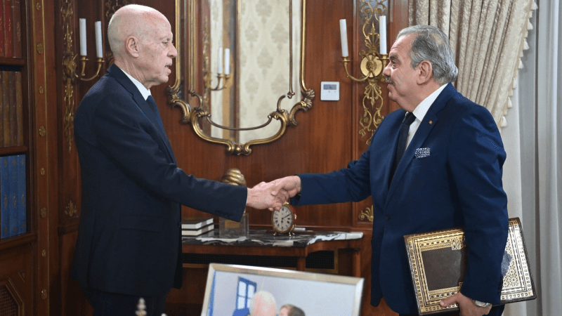 مشروع إعادة بناء ملعب المنزه في لقاء رئيس الجمهورية بوزير الشباب