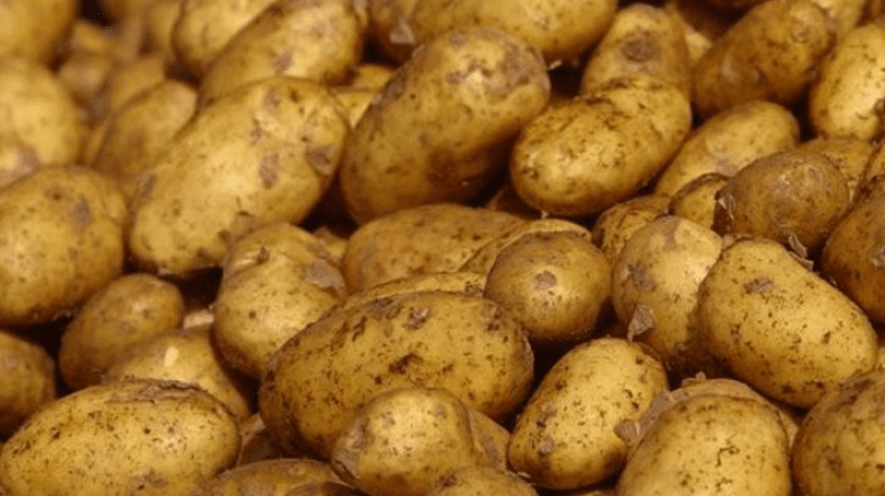سوسة: حجز أطنان من البطاطا والاحتفاظ بشخص