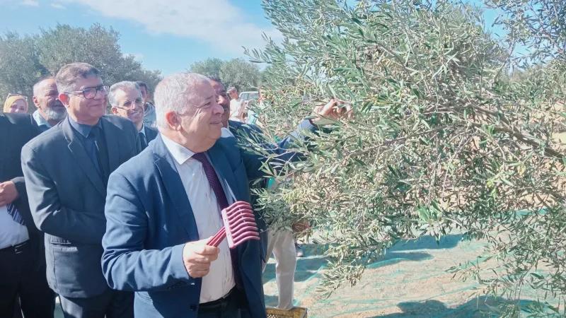 استدامة قطاع الزيتون والتغيرات المناخية محور المؤتمر المتوسطي بسوسة