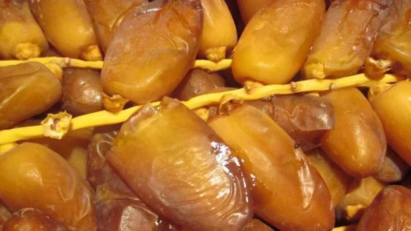 حصيلة الموسم الفارط من التمور والاستعدادات للموسم الحالي