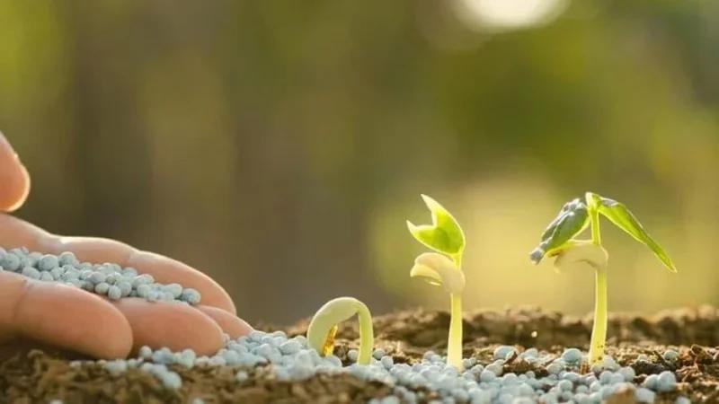 معز بن زغدان: نقص الأسمدة أكبر تحدّ يواجه الفلاحين هذا الموسم