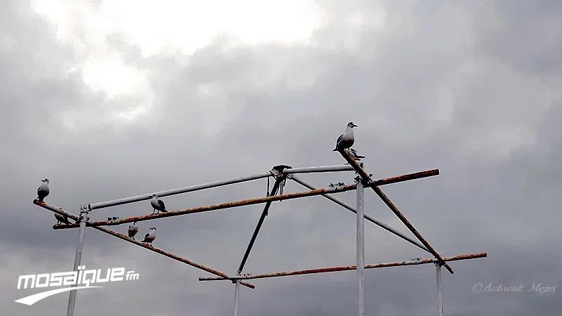 طقس السبت 8 نوفمبر 2025