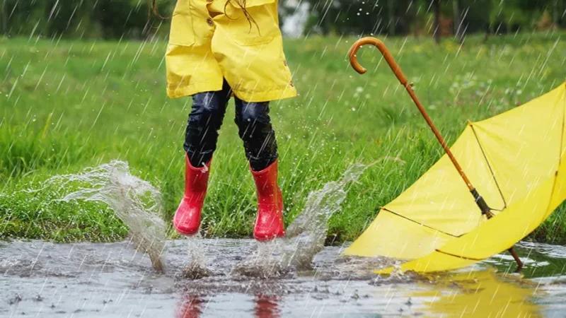 أقصاها في ولاية جندوبة..كميات الأمطار المسجلة خلال الـ 24 ساعة الماضية