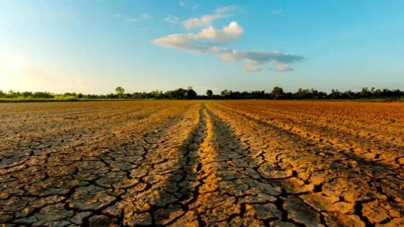 وزارة الفلاحة: 114 ألف هكتار من المساحات الفلاحية مؤمنة ضد الجوائح