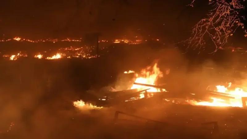 Algérie : Incendies à Tipaza... une cinquantaine de familles évacuées