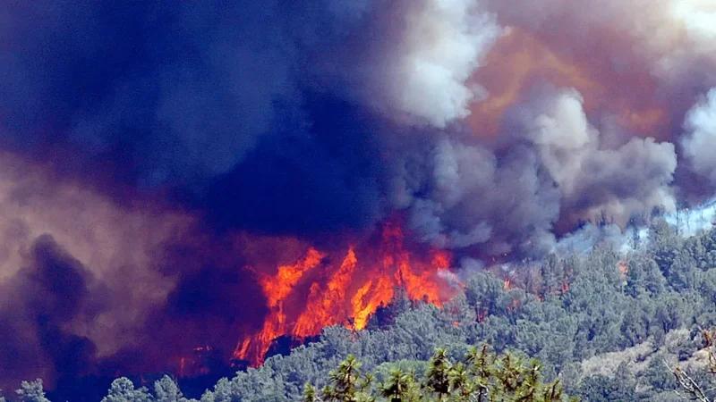 إجلاء عشرات العائلات الجزائرية مع اتساع رقعة حرائق الغابات