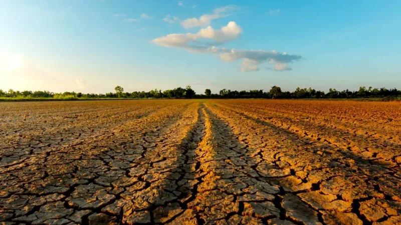 وزير الفلاحة: 30 م د لتعويض الفلاحين المتضرّرين من الجوائح الطبيعية