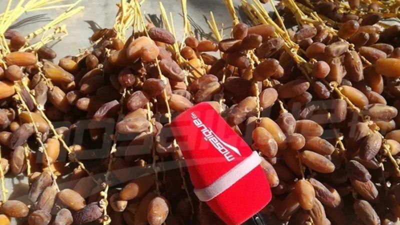 إدراج دقلة النور في مواصفة الدستور الغذائي الجديدة المتعلقة بالتمور