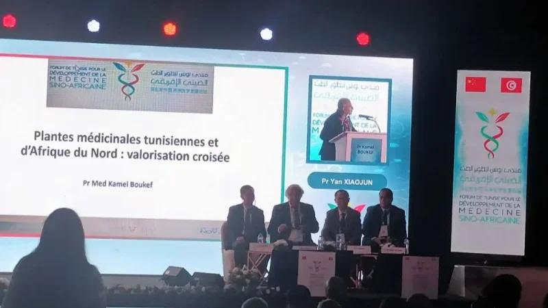 شملي: أول فيدرالية افريقية للنباتات الطبية مقرها تونس.. وهذه منافعها
