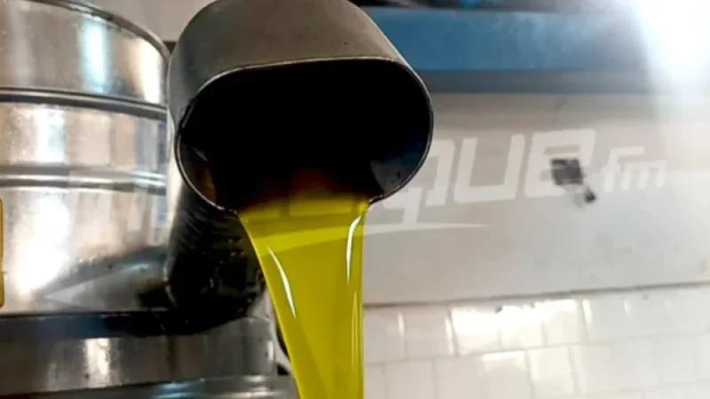 تكليف ديوان الزيت بإعداد مخزون من زيت الزيتون بأسعار مشجعة