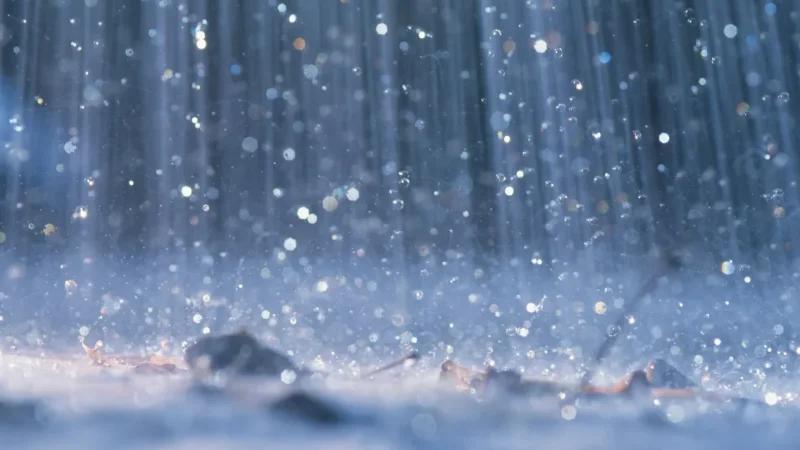 بسبب سوء الأحوال الجوية.. إيقاف الدروس في نفزة وعمدون