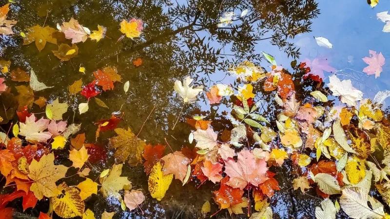 حالة الطقس في آخر يوم من شهر نوفمبر