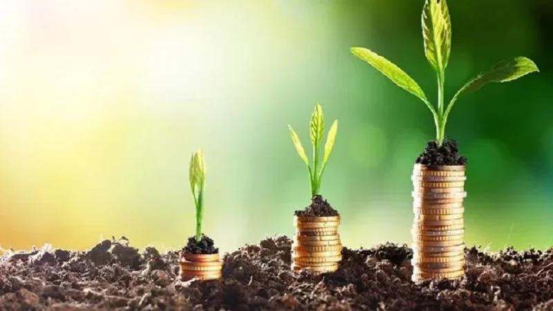 المصادقة على 'فصل تخصيص 30% من تمويلات البنك الفلاحي للاستثمار'