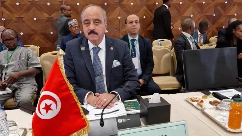 النفطي: ضرورة بناء أمن إفريقي قائم على التعاون والسيادة المشتركة