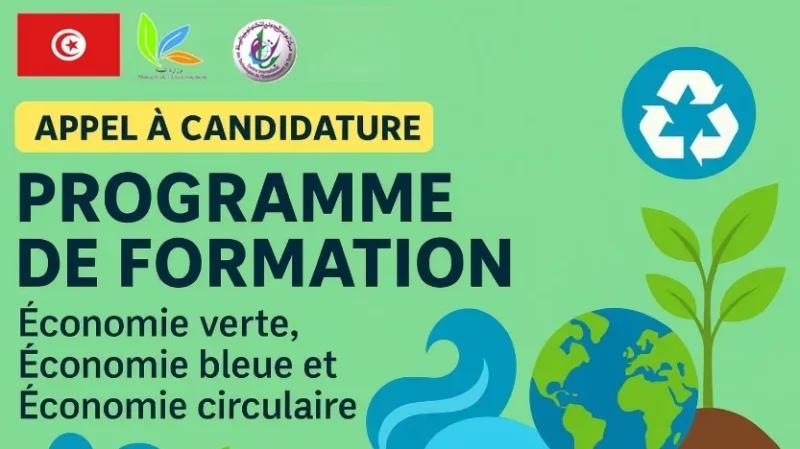 مركز تكنولوجيا البيئة يطلق تكوينا لأصحاب أفكار مشاريع خضراء مجددة