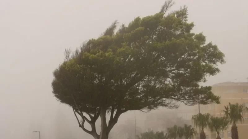 الجمعة: رياح قوية وانخفاض في درجات الحرارة