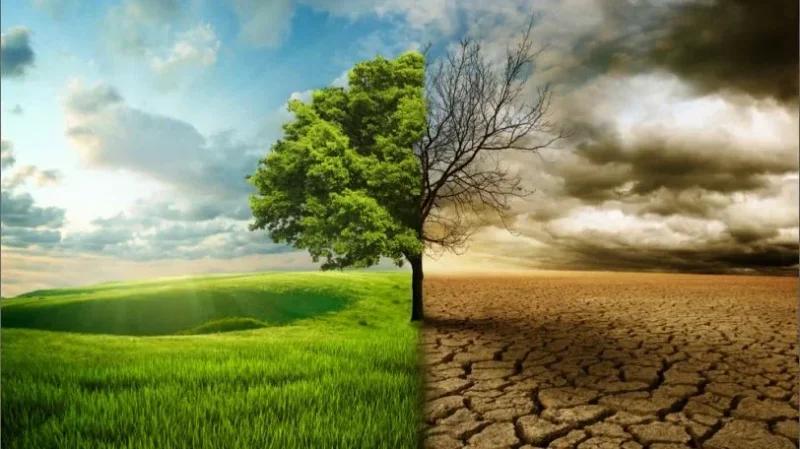 الهرابي: سيناريوهات مخيفة للتغيرات المناخية في تونس قبل 2050