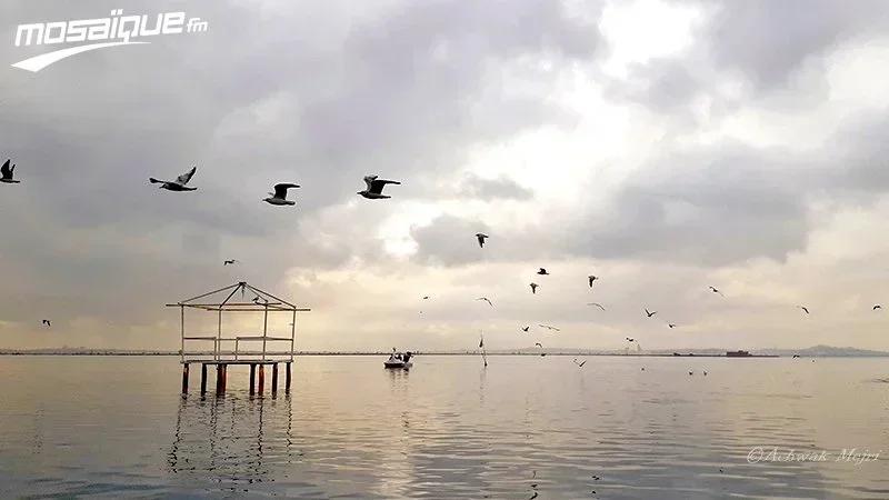 الأربعاء: حالة الطقس ودرجات الحرارة