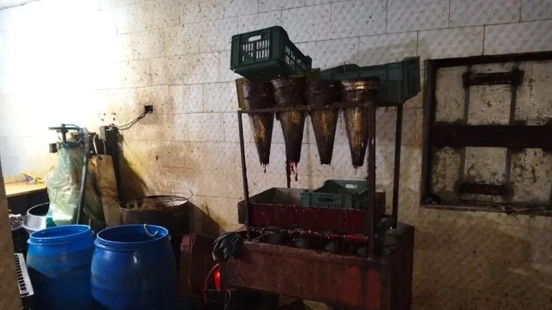 قربة: ضبط مذبح عشوائي وإتلاف 3 أطنان لحوم دجاج فاسدة