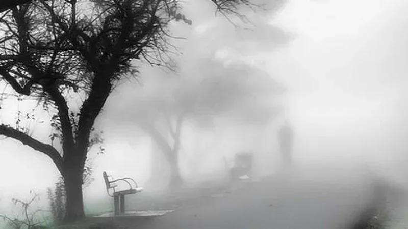 طقس السبت: ضباب صباحا وارتفاع درجات الحرارة